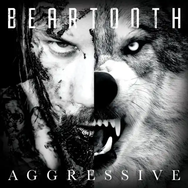 BEARTOOTH - AGGRESSIVE (Vinyl LP) Budget