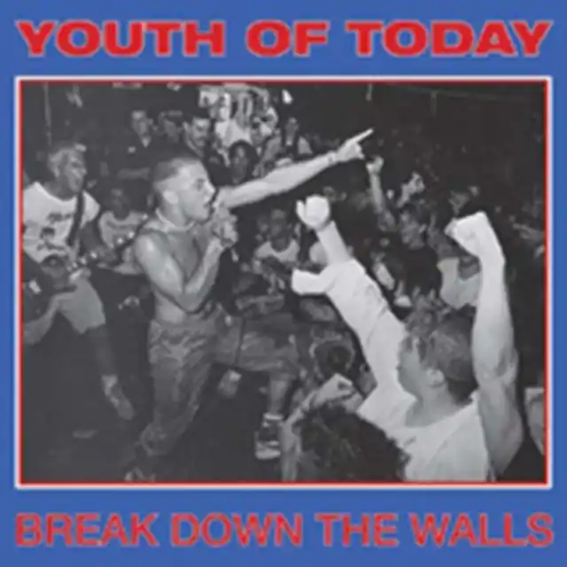 Don’t Miss Out YOUTH OF TODAY - BREAK DOWN THE WALLS (Vinyl LP)