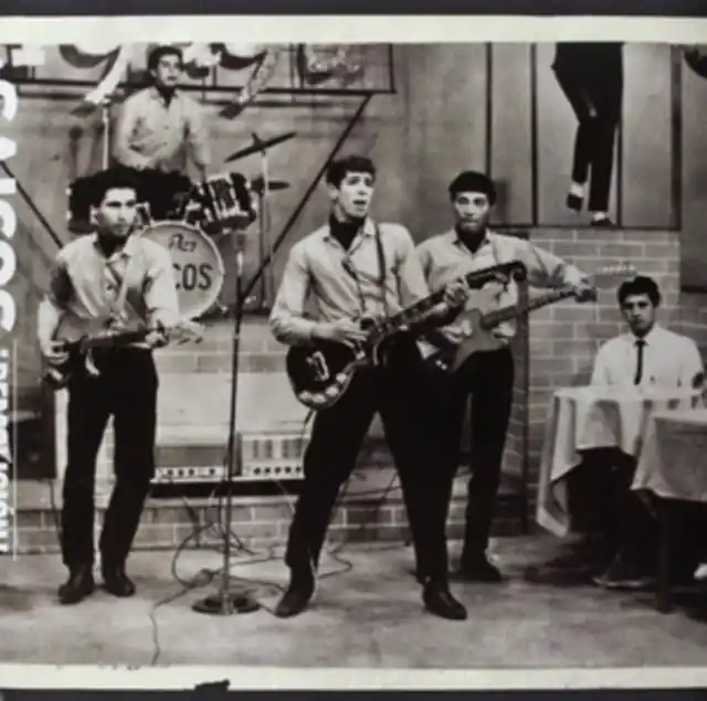 LOS SAICOS - DEMOLICION: THE COMPLETE RECORDINGS (Vinyl LP) Markdown