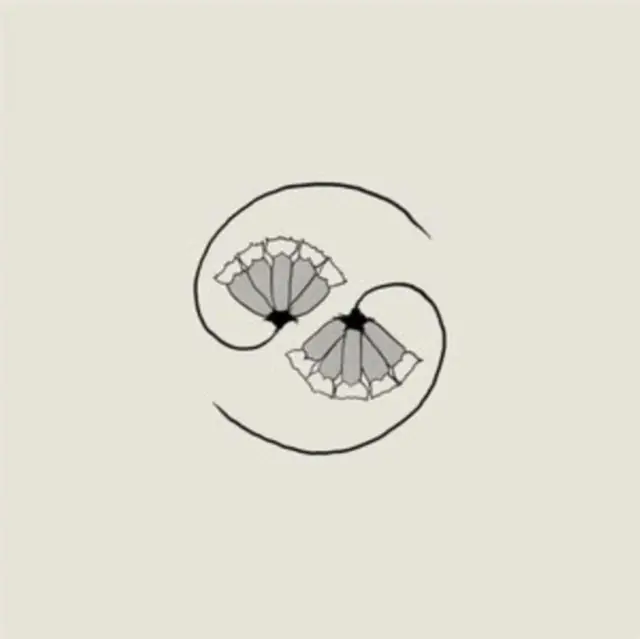 GODSPEED YOU! BLACK EMPEROR - G_D'S PEE AT STATE'S END! (180G/LP/10INCH) (Vinyl LP) Luxury