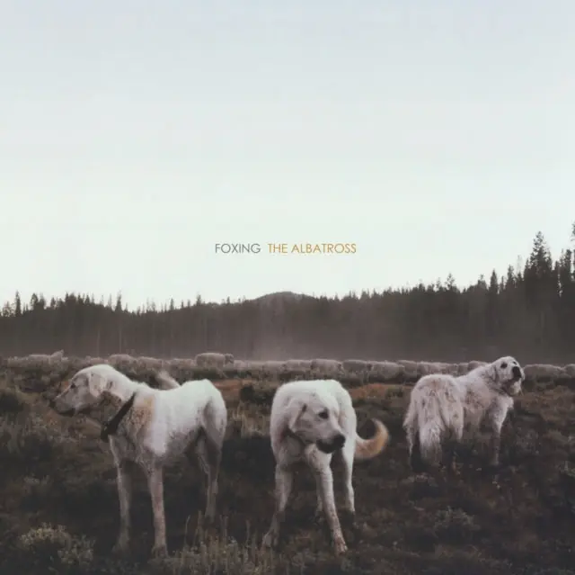 Price Cut FOXING - ALBATROSS (Vinyl LP)