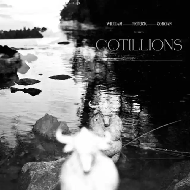 CORGAN,WILLIAM PATRICK - COTILLIONS (2 LP/CLEAR/BLACK MARBLE VINYL) (Vinyl LP) Bargain