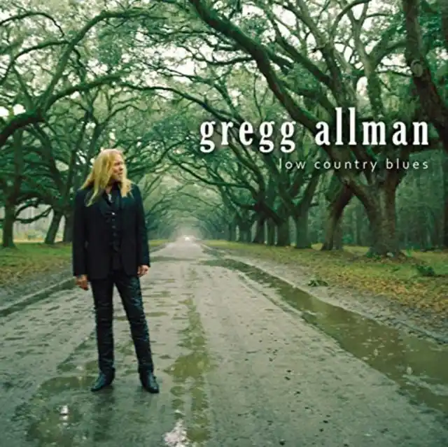 ALLMAN,GREGG - LOW COUNTRY BLUES (Vinyl LP) Buy Today