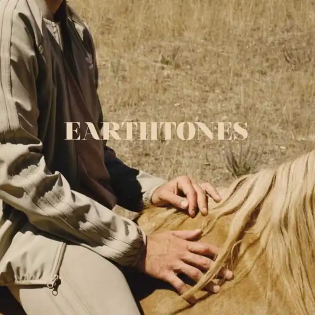 BAHAMAS - EARTHTONES (LP) (Vinyl LP) Modern