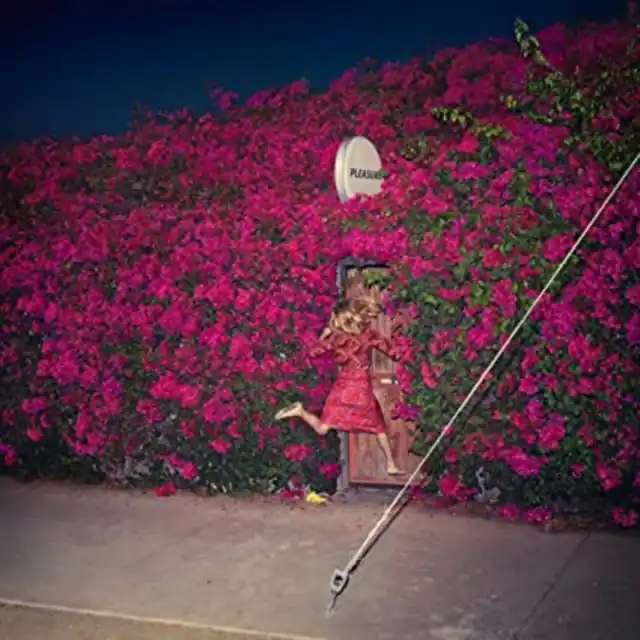 Hot Picks FEIST - PLEASURE (Vinyl LP)