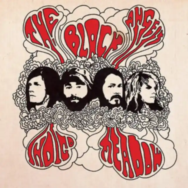 Special Offer BLACK ANGELS - INDIGO MEADOW (Vinyl LP)