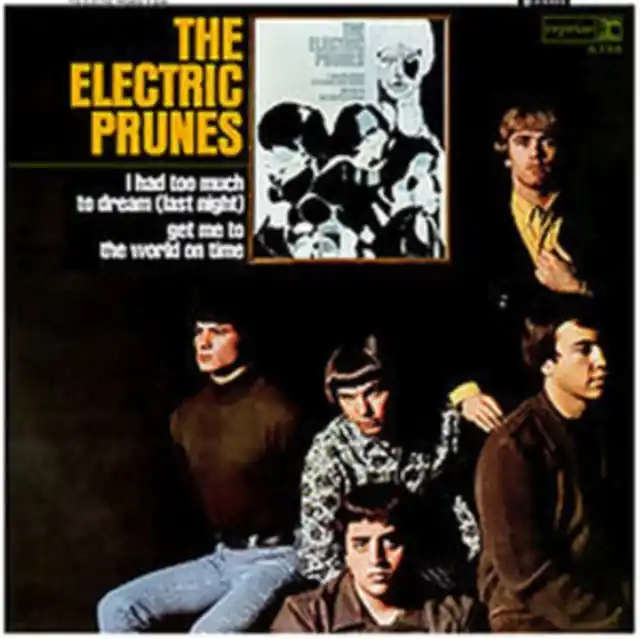 ELECTRIC PRUNES - I HAD TOO MUCH TO DREAM LAST NIGHT (Vinyl LP) Buy Direct