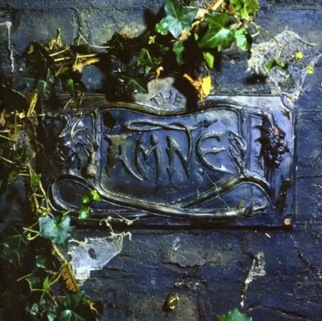 DAMNED - BLACK ALBUM (Vinyl LP) Certified