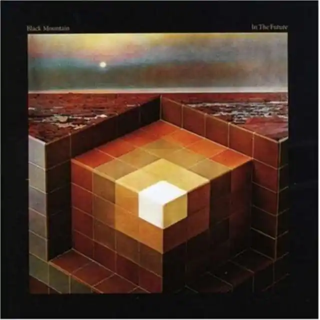 Fresh Stock BLACK MOUNTAIN - IN THE FUTURE (Vinyl LP)