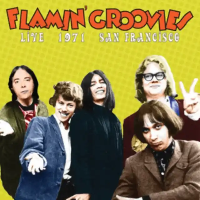 FLAMIN GROOVIES - LIVE IN SANFRANCISCO 1973 (Vinyl LP) Genuine