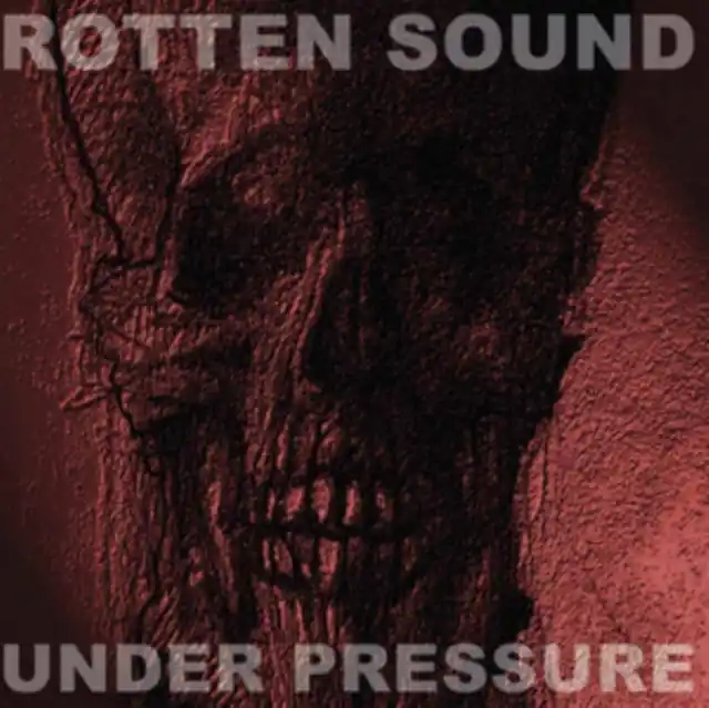 In Demand ROTTEN SOUND - UNDER PRESSURE (Vinyl LP)