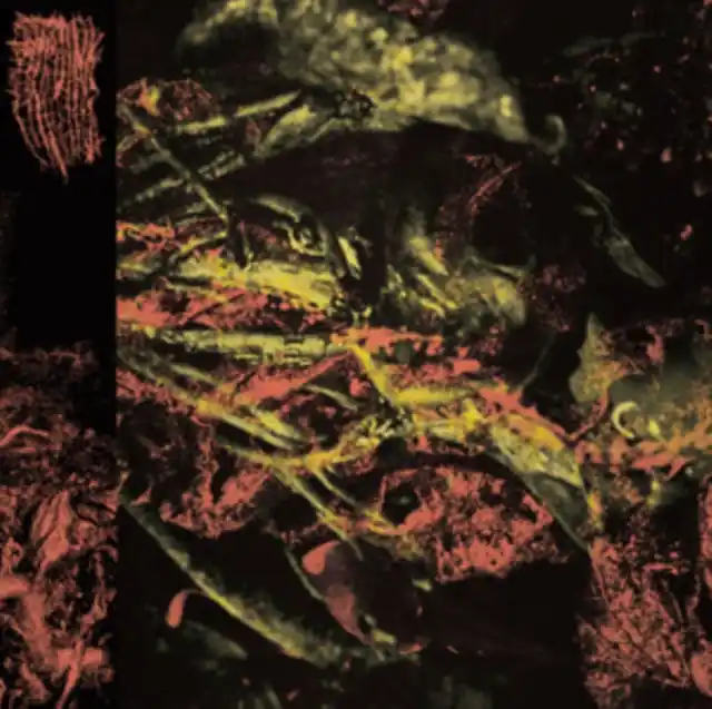 Best Choice HISSING - PERMANENT DESTITUTION (Vinyl LP)