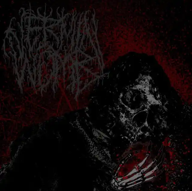 VERMIN WOMB - DECLINE (Vinyl LP) Original