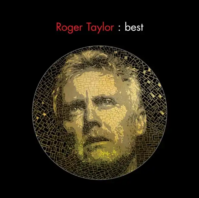 TAYLOR,ROGER - BEST (Vinyl LP) Warranty Included