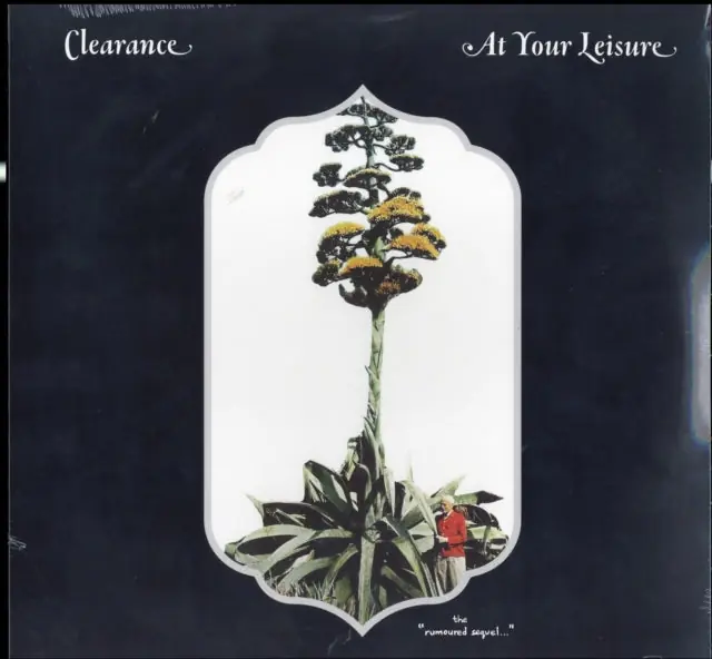 Super Sale CLEARANCE - AT YOUR LEISURE (Vinyl LP)