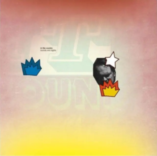 Must Have IN THE COUNTRY - SOUNDS & SIGHTS (2LP/DVD) (Vinyl LP)