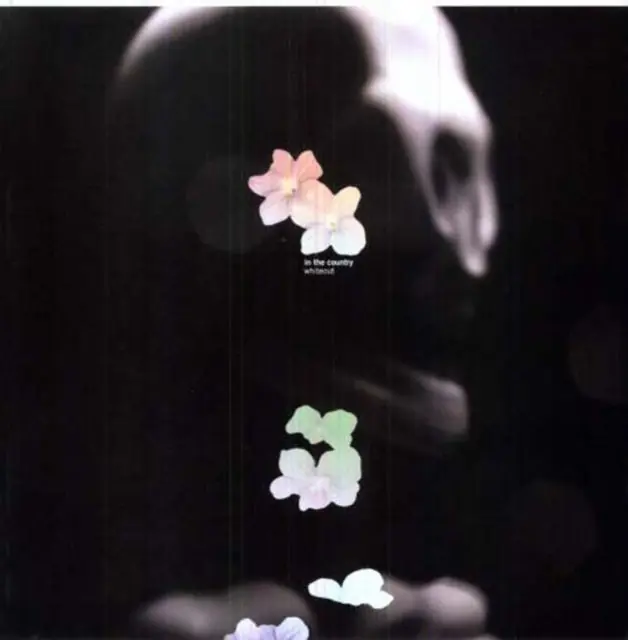 IN THE COUNTRY - WHITEOUT (2LP) (Vinyl LP) Hassle-Free Returns