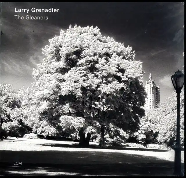 GRENADIER,LARRY - GLEANERS (Vinyl LP) Exclusive Offer